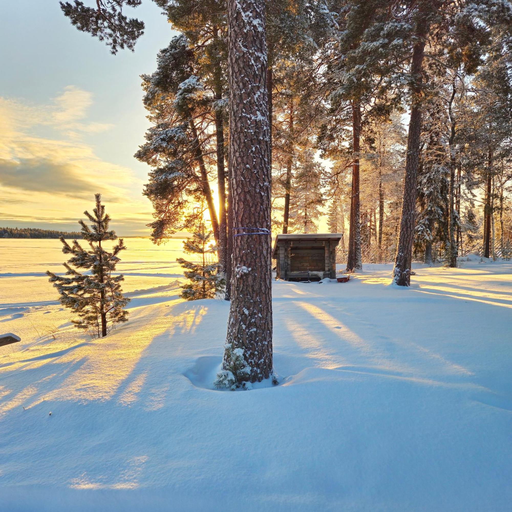 Chalet Norva Rovaniemi Eksteriør billede
