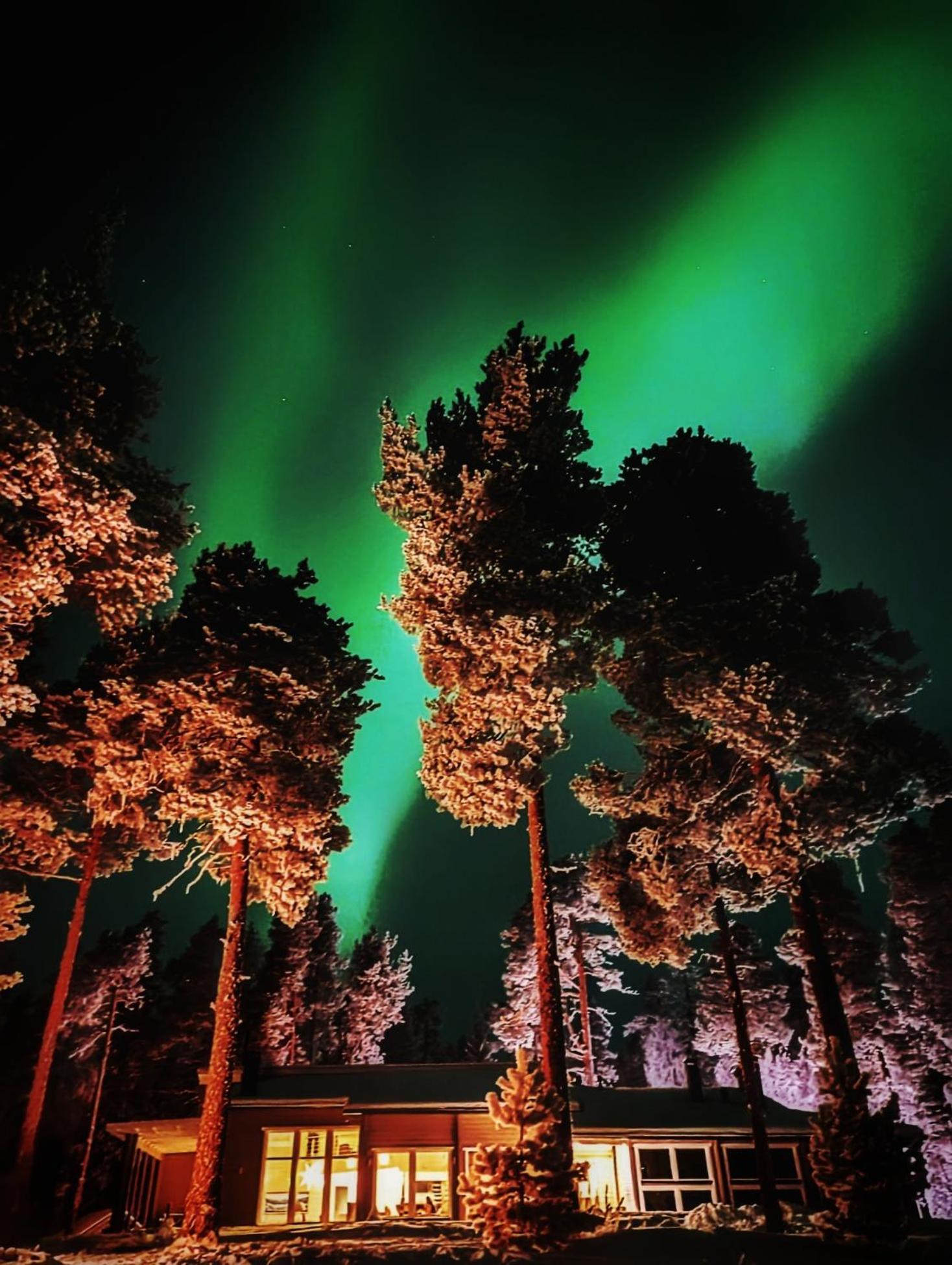 Chalet Norva Rovaniemi Eksteriør billede